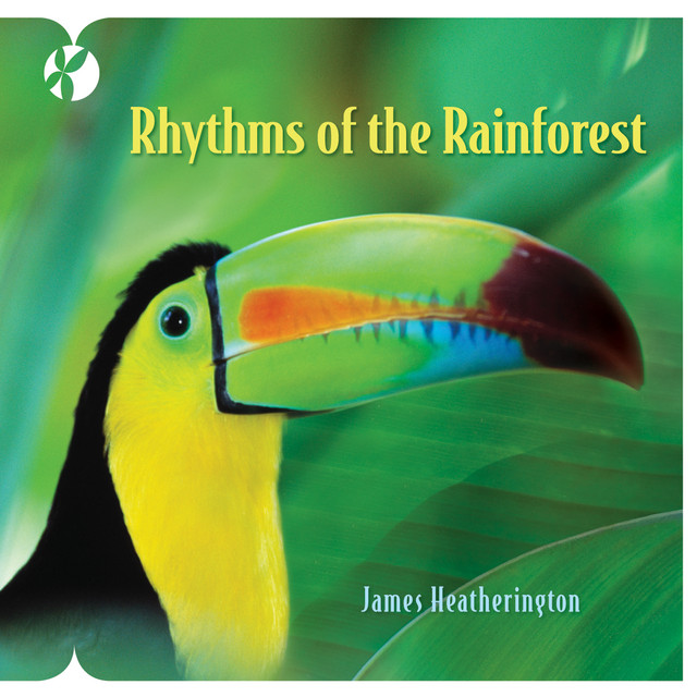 Rhythms of the Rainforest