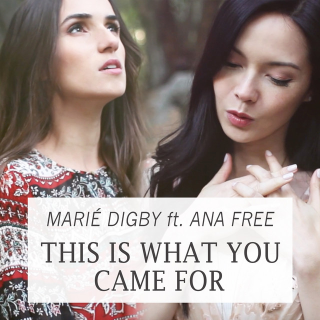 This Is What You Came For (feat. Ana Free)