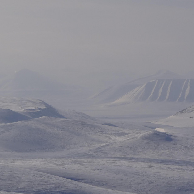 Still Life : We are Nature, our fragile future